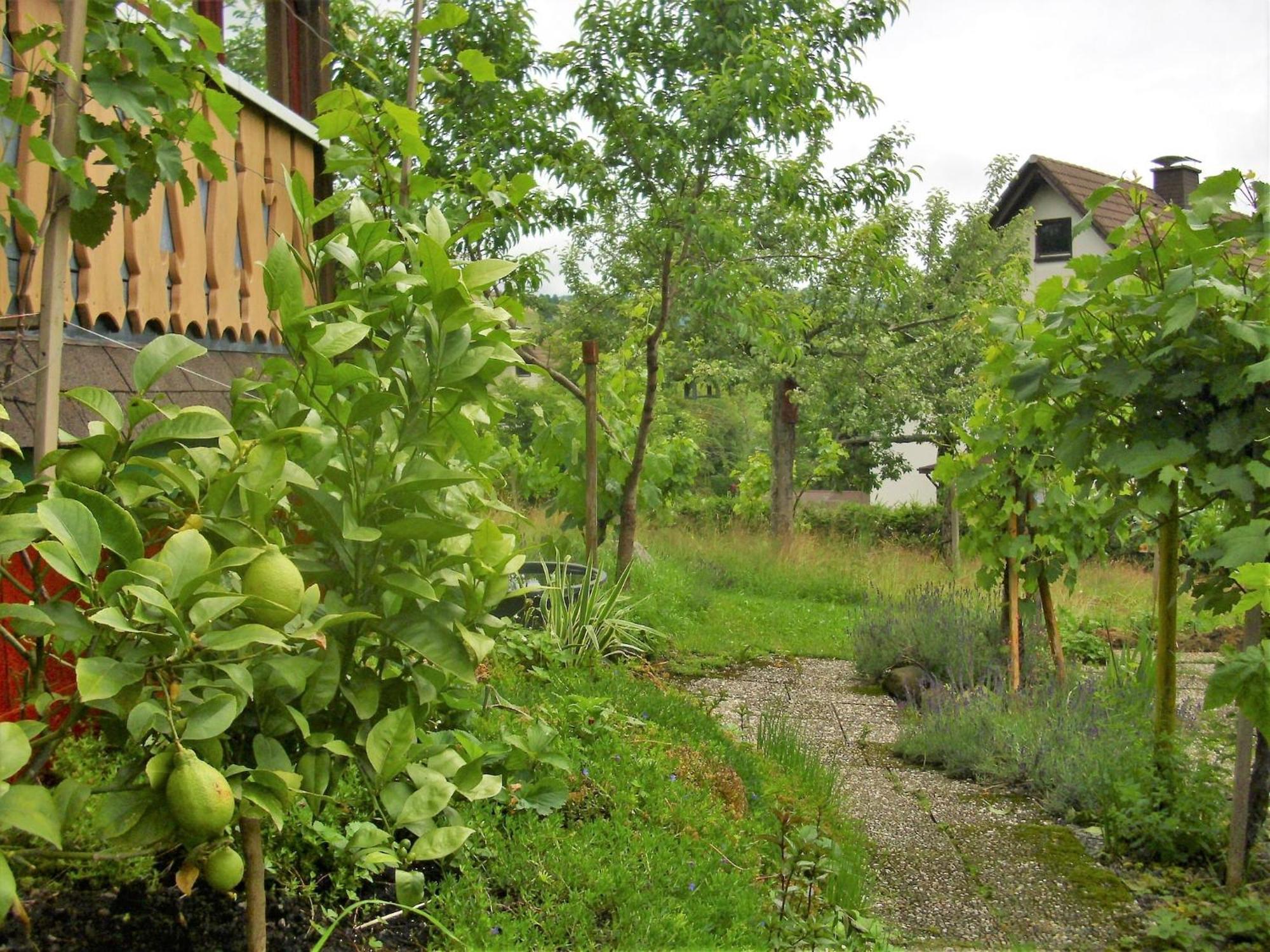 Pleasant apartment in Bernau Innerlehen with garden Exterior foto