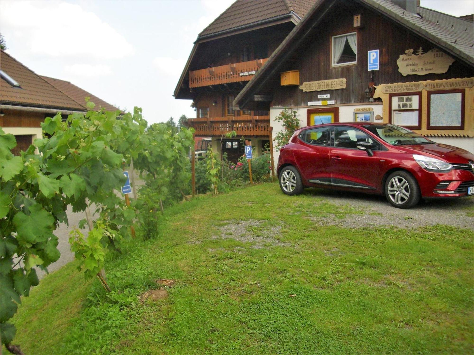 Pleasant apartment in Bernau Innerlehen with garden Exterior foto